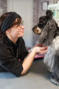 Julie souchal et Gino un chien toiletté fraichement