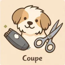 coupe aux ciseaux et tondeuse