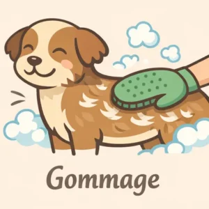 gommage