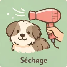séchage