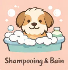 shampooing et bain